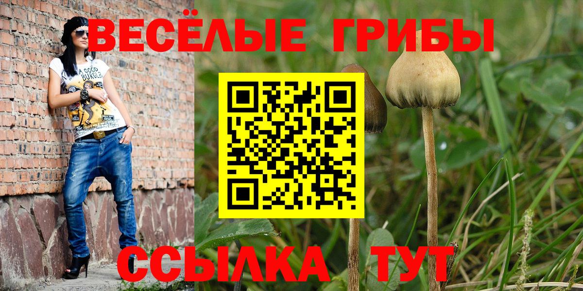 Галлюциногенные грибы Cubensis Красногорск
