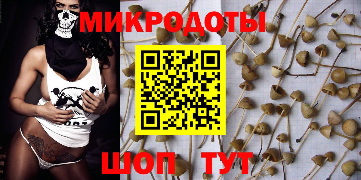 Красногорск  Галлюциногенные грибы мицелий  Вход с VPN 